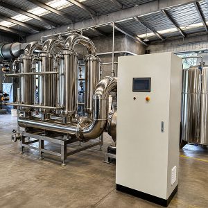 HCCM6-61 Membrane Filtration Systems for Fruit and Vegetable Juice