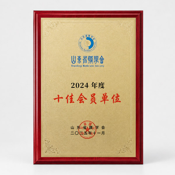 2024 | International Certification and Continued Excellence